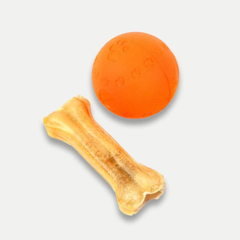 Ball & Treat for Dogs