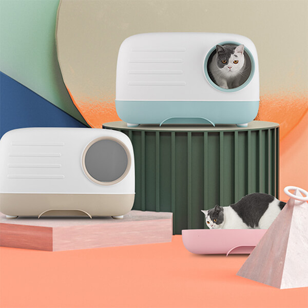 box-cat-clean5